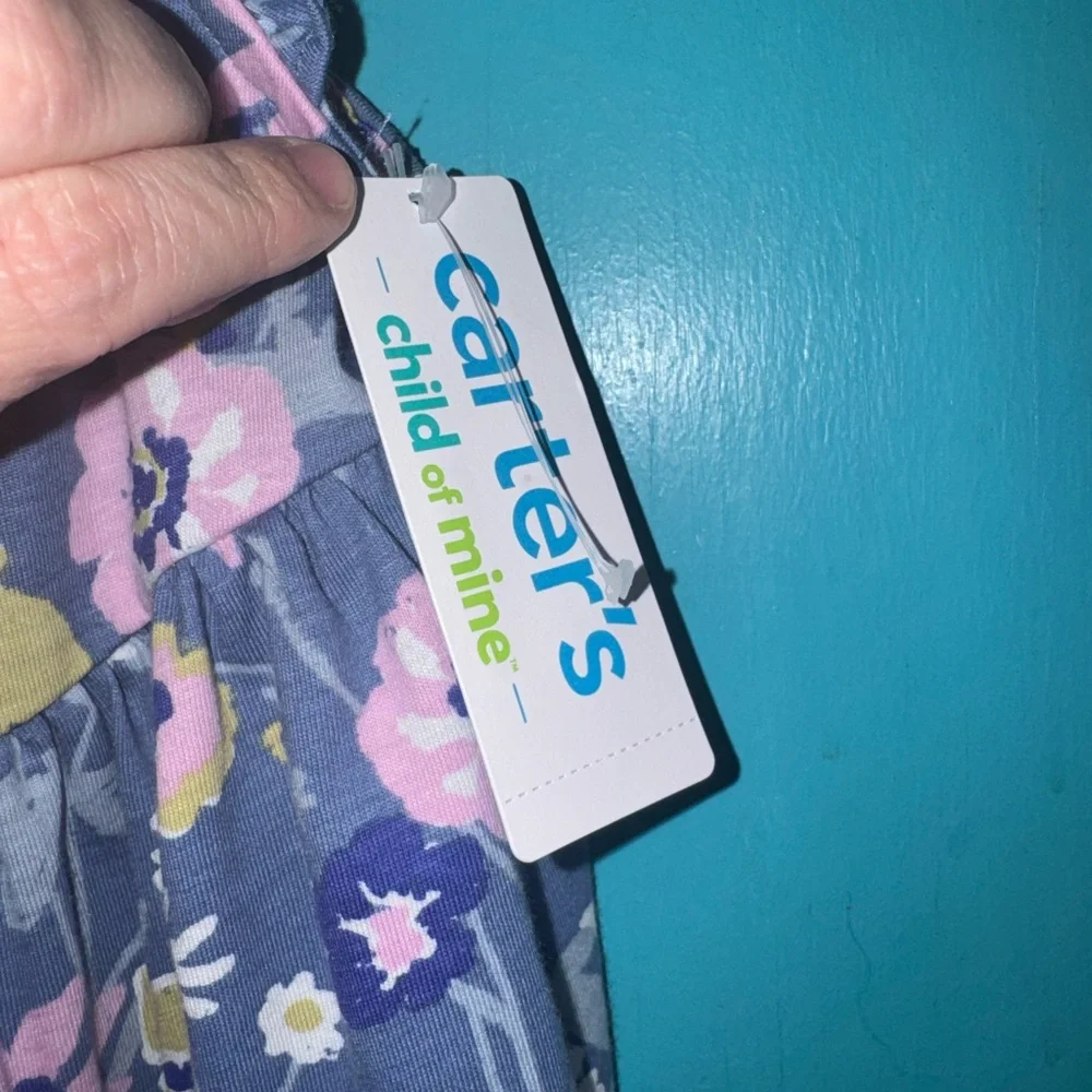 Carter's Blue and Pink Floral Dress - Picture 4 of 6